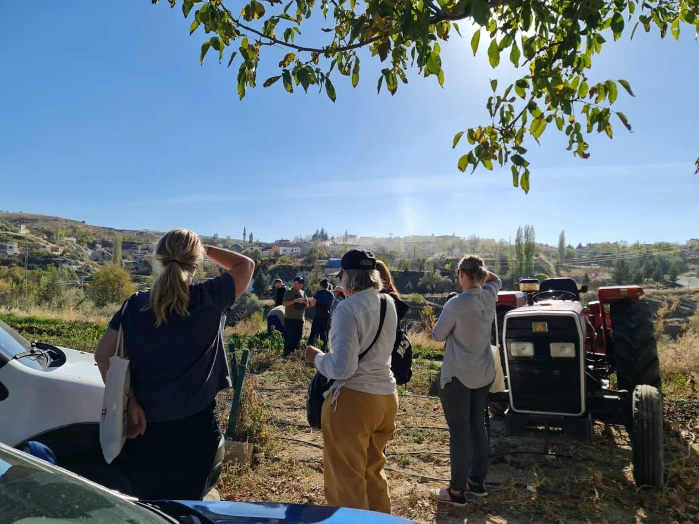 Cappadocia Beekeeping Experience – Harvest Fresh Honey & Taste Nature’s Sweetest Secret - Image 3
