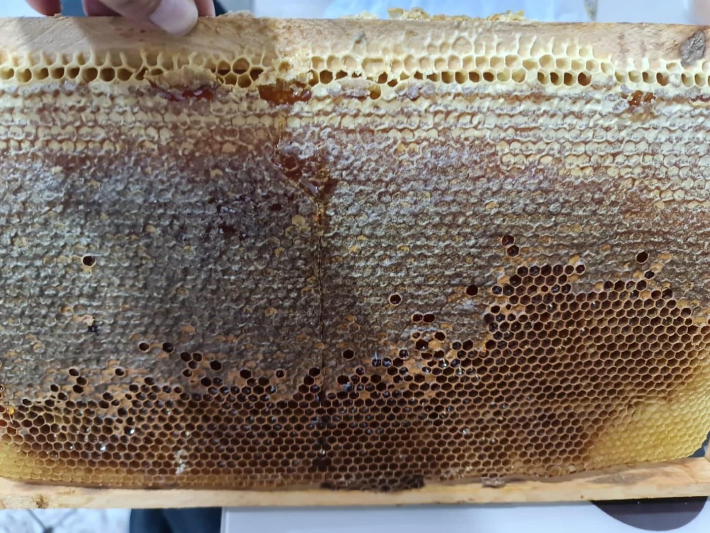 Cappadocia Beekeeping Experience – Harvest Fresh Honey & Taste Nature’s Sweetest Secret - Image 7