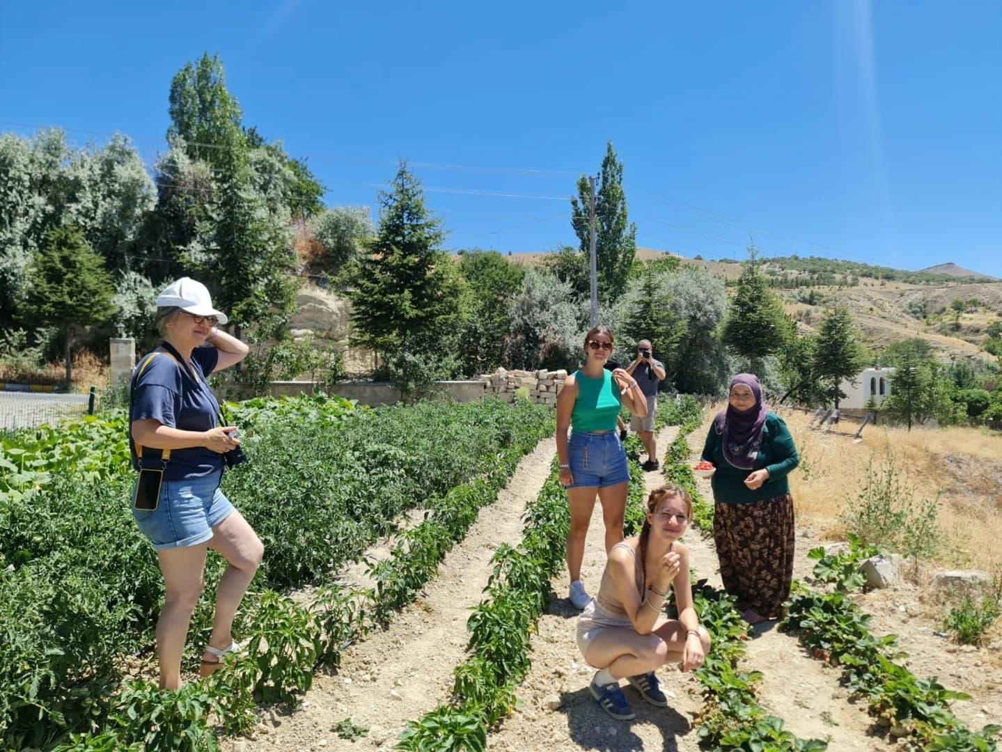 Cappadocia Beekeeping Experience – Harvest Fresh Honey & Taste Nature’s Sweetest Secret - Image 4
