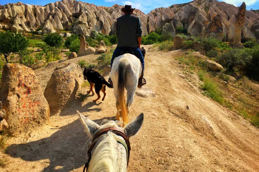 Cappadocia Horseback Riding Tour – Explore the Land of Beautiful Horses - Image 15