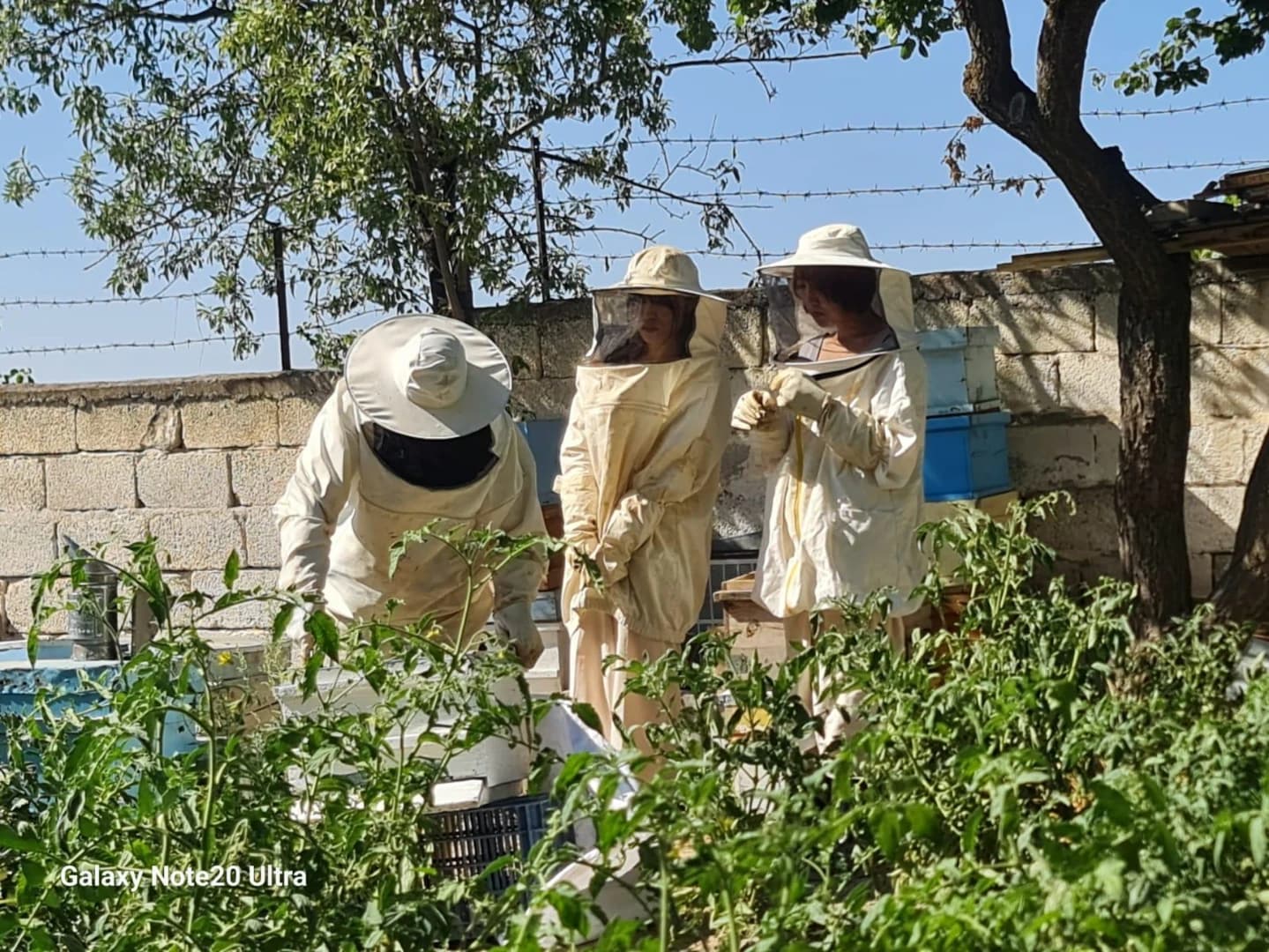 Cappadocia Beekeeping Experience – Harvest Fresh Honey & Taste Nature’s Sweetest Secret